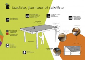 plaquette commerciale prestige kaméléon